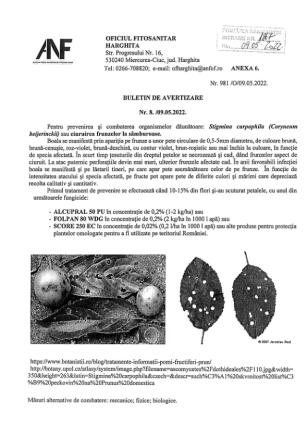 Buletin de avertizare