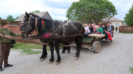Öröm, játék és mosoly