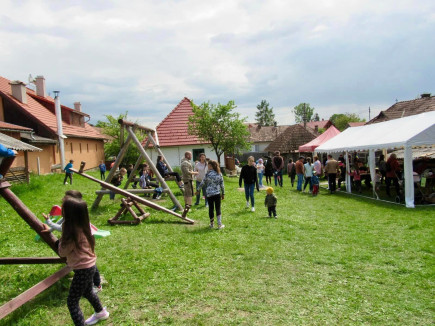 4. Palántanap községünkben